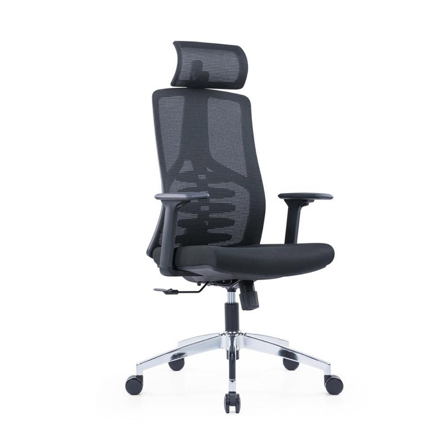 Chromix Ergonomic Chair: Adjustable Lumbar Support & 2D Adjustable Armrest 1 Chromix Ergonomic Chair: Adjustable Lumbar Support & 2D Adjustable Armrest - sides
