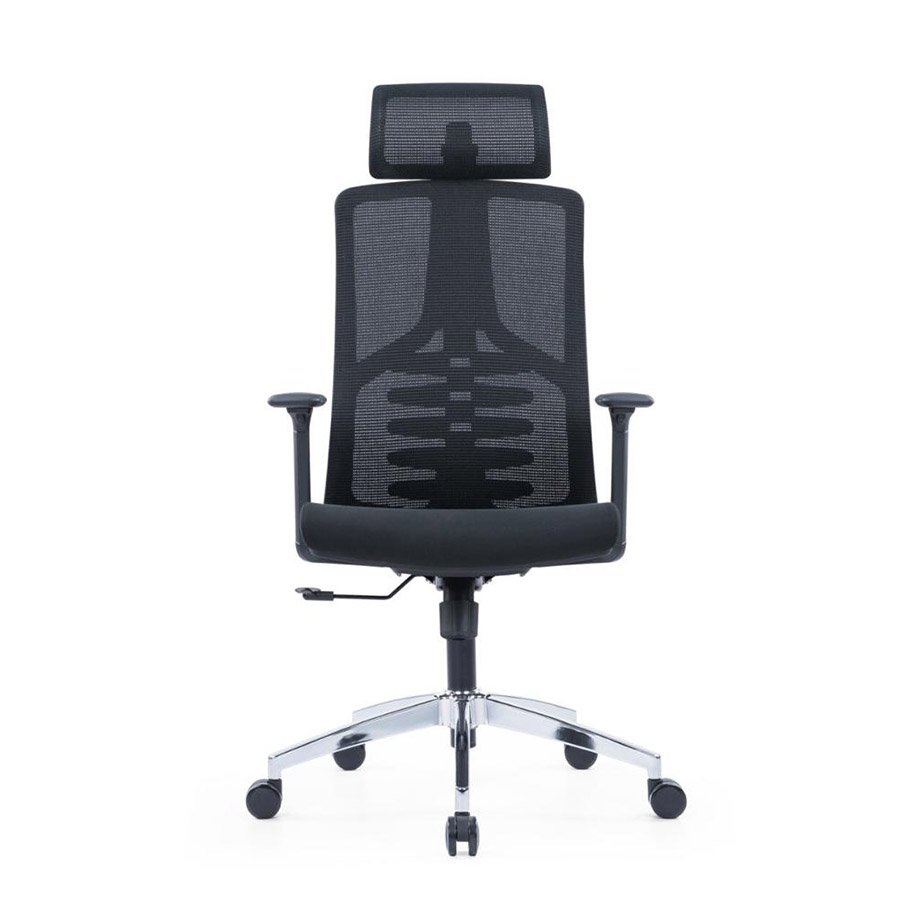 Chromix Ergonomic Chair: Adjustable Lumbar Support & 2D Adjustable Armrest 2 Chromix Ergonomic Chair: Adjustable Lumbar Support & 2D Adjustable Armrest - front
