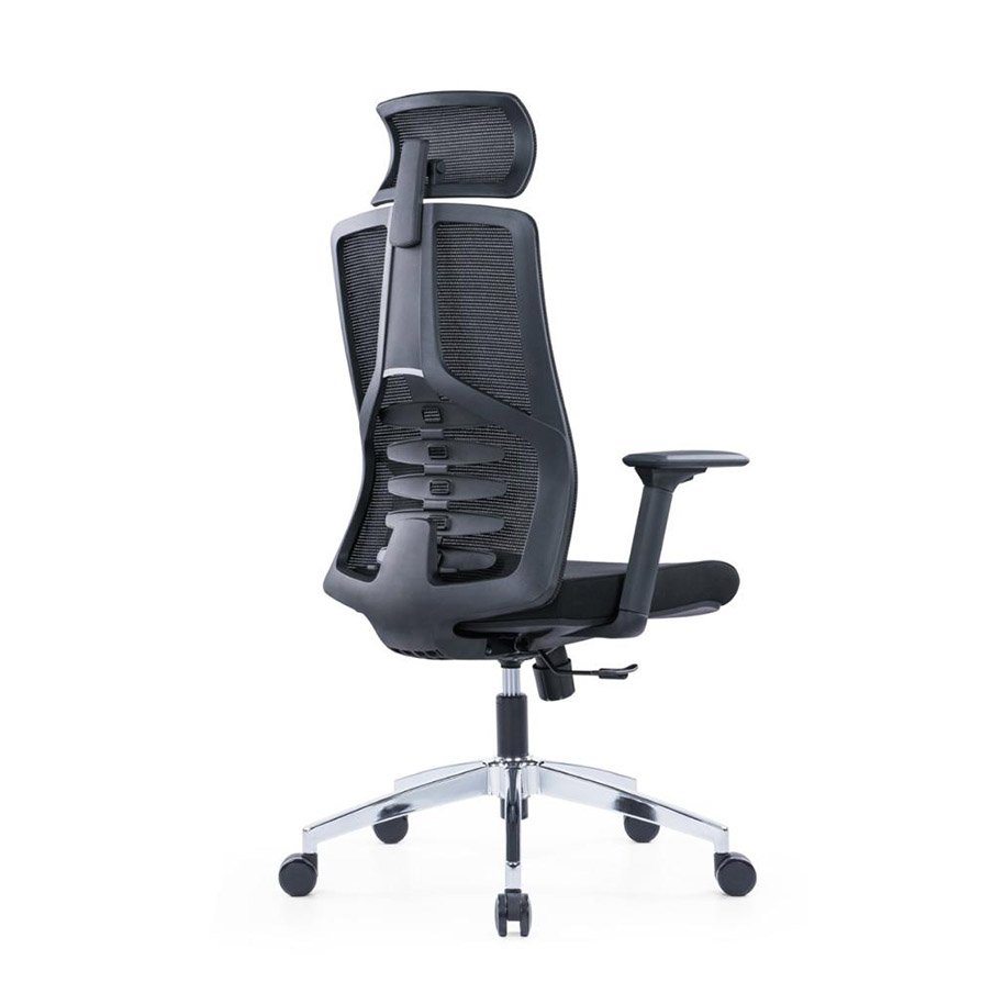 Chromix Ergonomic Chair: Adjustable Lumbar Support & 2D Adjustable Armrest 3 Chromix Ergonomic Chair: Adjustable Lumbar Support & 2D Adjustable Armrest - back