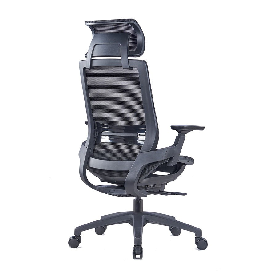 Eva High Back Ergonomic Chair with 3D armrest 3 Eva High Back Ergonomic Chair with 3D armrest - back