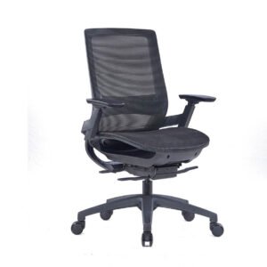 Eva Low Back Office Chair