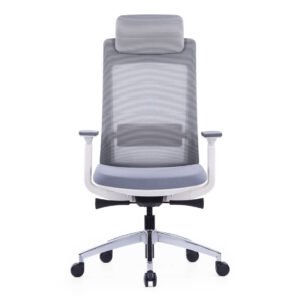 Exotic Ergonomic Chair With White Frame and Nylon Glass Fiber Frame