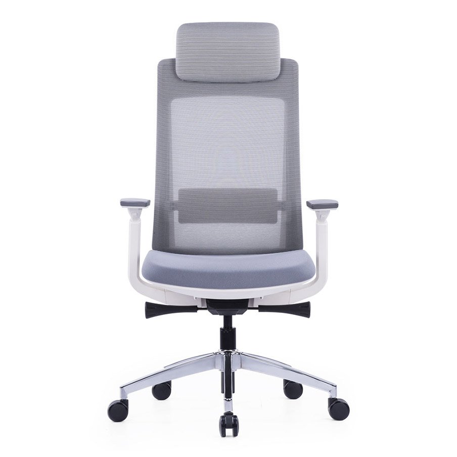 Exotic Ergonomic Chair With White Frame and Nylon Glass Fiber Frame 1 Exotic Ergonomic Chair With White Frame and Nylon Glass Fiber Frame - front