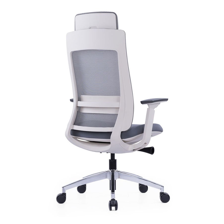Exotic Ergonomic Chair With White Frame and Nylon Glass Fiber Frame 3 Exotic Ergonomic Chair With White Frame and Nylon Glass Fiber Frame - back