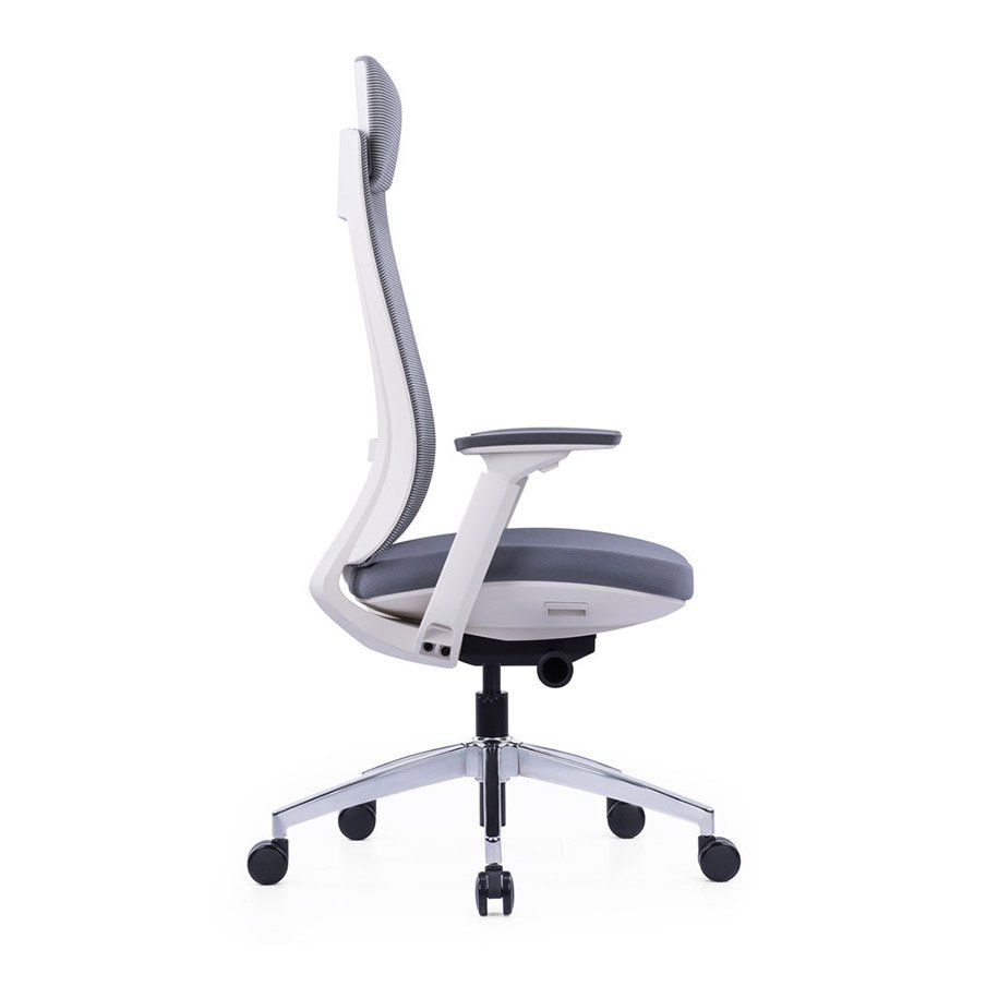 Exotic Ergonomic Chair With White Frame and Nylon Glass Fiber Frame 2 Exotic Ergonomic Chair With White Frame and Nylon Glass Fiber Frame - sides