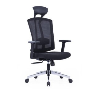 Macro Chrome Base Ergonomic Chair With Adjustable Lumbar Support