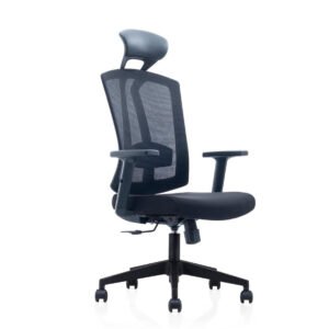 Macro Chrome Base Ergonomic Chair With  Fixed Headrest