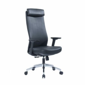 Different Types Of Ergonomic Chairs | List Of Ergonomic Chairs 6 angel executive chair 2