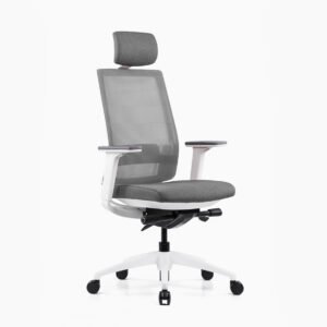 Tim Modern Ergonomic High Back Office chair